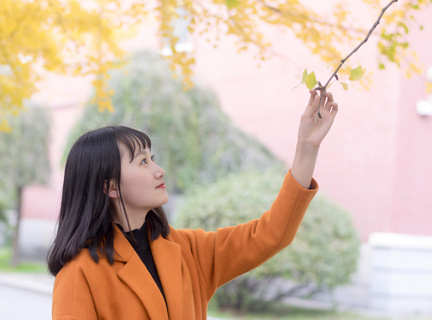 京东物流进淘宝 支付宝进京东