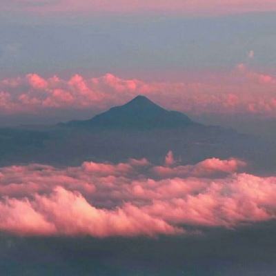 加沙卫生部：加沙地带一天内有近40人因以色列的袭击丧生