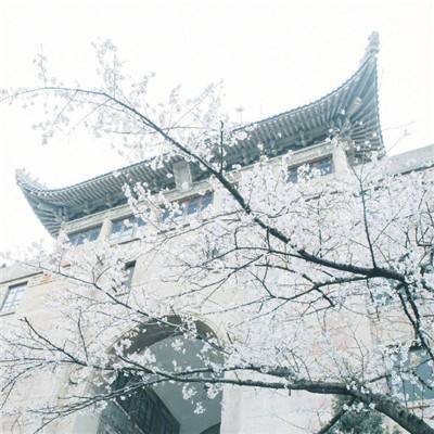 坚定信心 努力完成全年经济社会发展目标任务——学习贯彻中央政治局会议精神扎实做好下一步经济工作