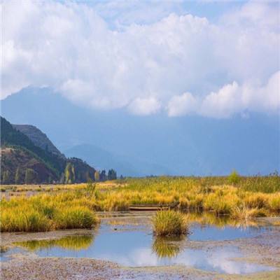 高山峡谷追“新”记