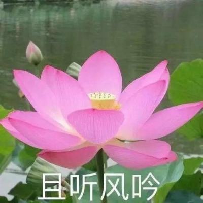 奋进强国路 阔步新征程︱从“小产业”到“大集群”——河北特色产业集群为县域经济注入活力