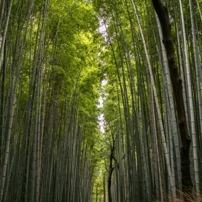 蒙牛鼎力相助上游牧场 捐赠10亿元春节礼包